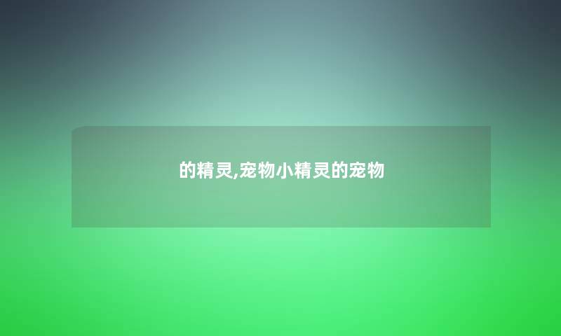 的精灵,宠物小精灵的宠物
