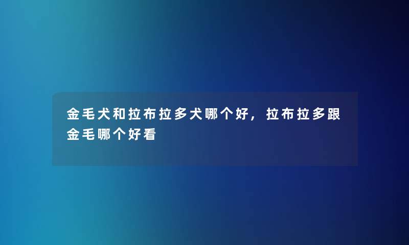 金毛犬和拉布拉多犬哪个好,拉布拉多跟金毛哪个好看 金毛犬和拉布拉多犬哪个好,拉布拉多跟金毛哪个好看