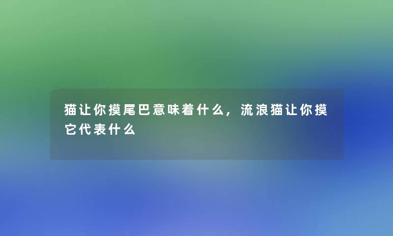 猫让你摸尾巴意味着什么,流浪猫让你摸它代表什么 猫让你摸尾巴意味着什么,流浪猫让你摸它代表什么