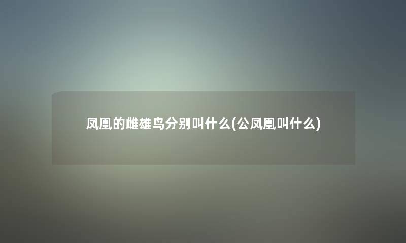 凤凰的雌雄鸟分别叫什么(公凤凰叫什么) 凤凰的雌雄鸟分别叫什么(公凤凰叫什么)