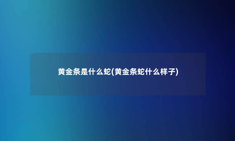 黄金条是什么蛇(黄金条蛇什么样子)