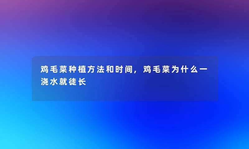 鸡毛菜种植方法和时间,鸡毛菜为什么一浇水就徒长 鸡毛菜种植方法和时间,鸡毛菜为什么一浇水就徒长