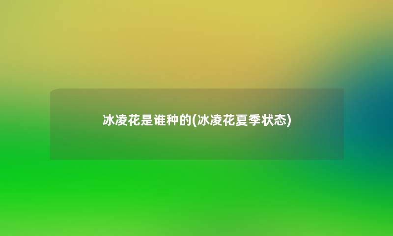 冰凌花是谁种的(冰凌花夏季状态)