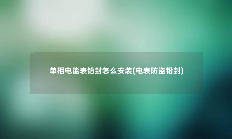 单相电能表铅封怎么安装(电表防盗铅封) 单相电能表铅封怎么安装(电表防盗铅封)