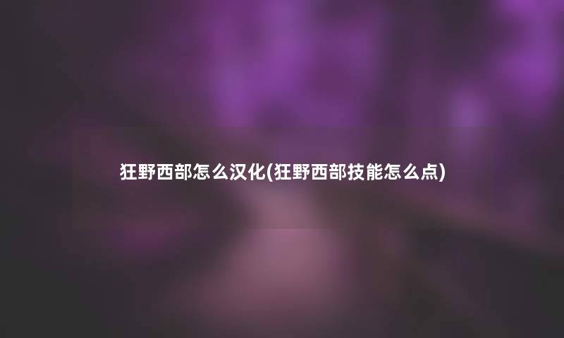 狂野西部怎么汉化(狂野西部技能怎么点)