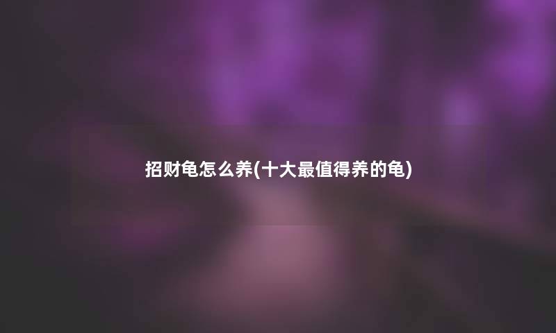 招财龟怎么养(一些值得养的龟)