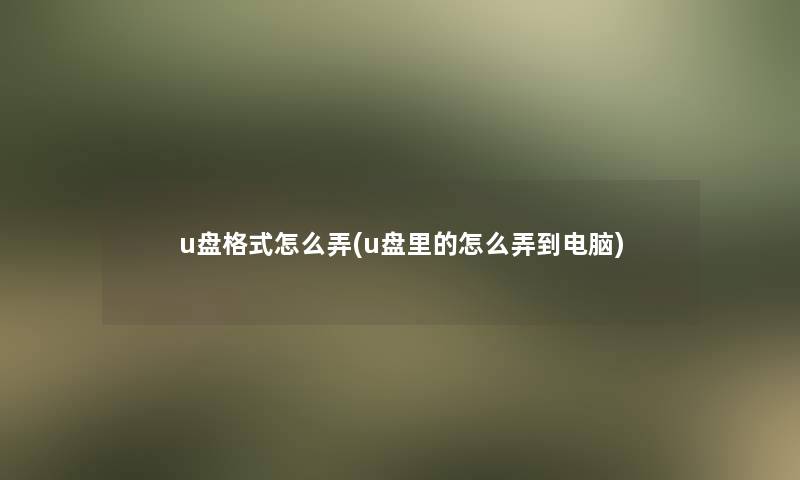 u盘格式怎么弄(u盘里的怎么弄到电脑)