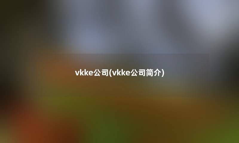 vkke公司(vkke公司简介)