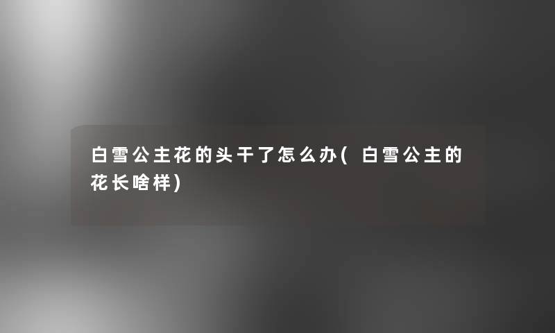 白雪公主花的头干了怎么办(白雪公主的花长啥样)
