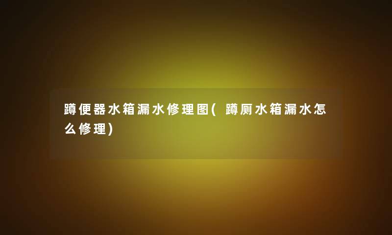 蹲便器水箱漏水修理图(蹲厕水箱漏水怎么修理) 蹲便器水箱漏水修理图(蹲厕水箱漏水怎么修理)
