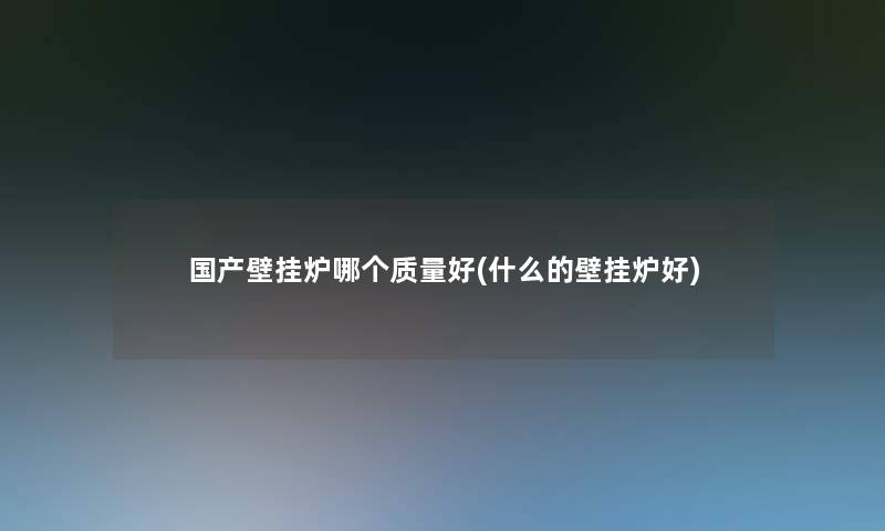 国产壁挂炉哪个质量好(什么的壁挂炉好)