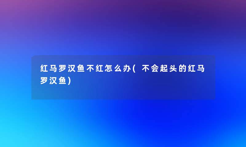 红马罗汉鱼不红怎么办(不会起头的红马罗汉鱼) 红马罗汉鱼不红怎么办(不会起头的红马罗汉鱼)