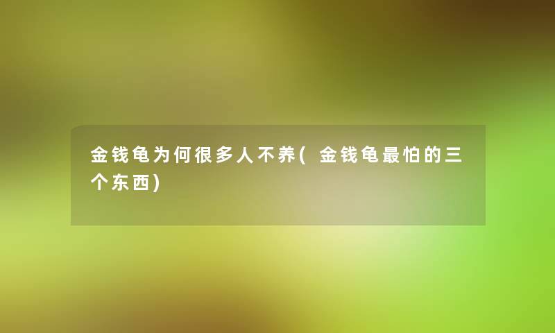 金钱龟为何很多人不养(金钱龟怕的三个东西) 金钱龟为何很多人不养(金钱龟怕的三个东西)