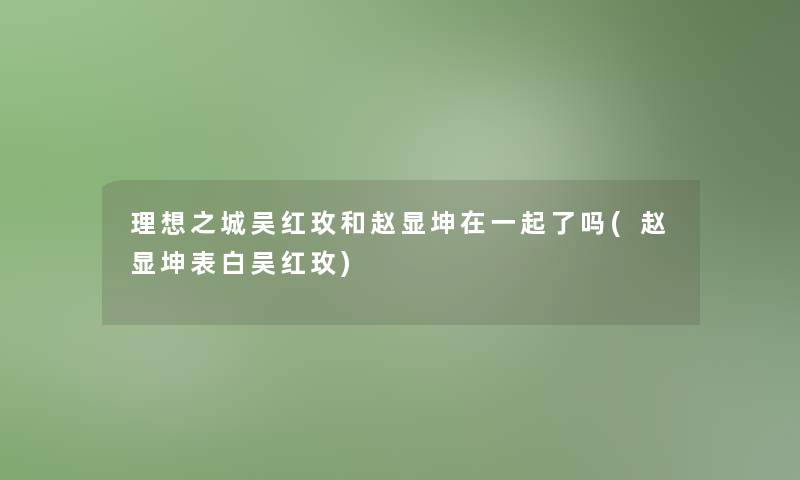 理想之城吴红玫和赵显坤在一起了吗(赵显坤表白吴红玫)