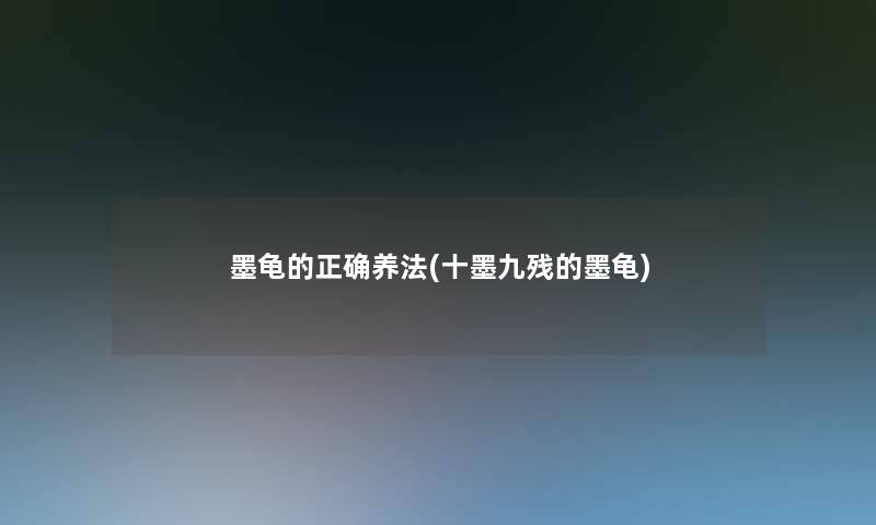 墨龟的正确养法(十墨九残的墨龟)