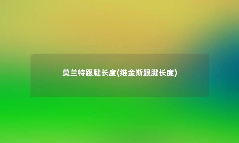 莫兰特跟腱长度(维金斯跟腱长度)