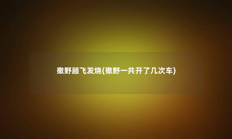 撒野顾飞发烧(撒野一共开了几次车)