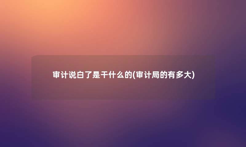审计说白了是干什么的(审计局的有多大)