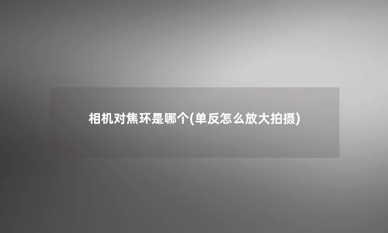 相机对焦环是哪个(单反怎么放大拍摄)