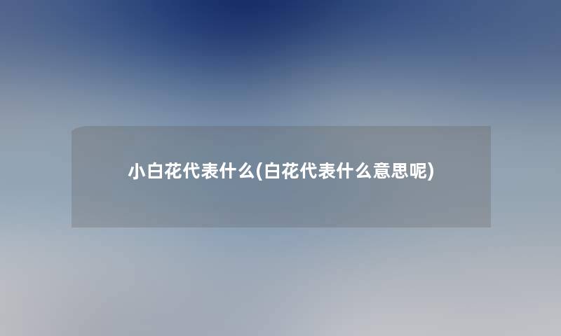 小白花代表什么(白花代表什么意思呢)