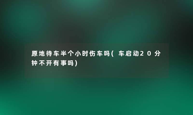 原地待车半个小时伤车吗(车启动20分钟不开有事吗)