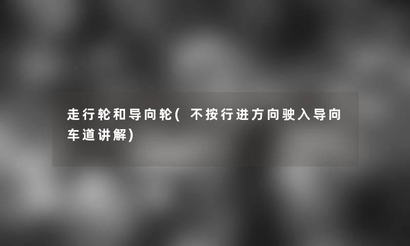 走行轮和导向轮(不按行进方向驶入导向车道讲解)